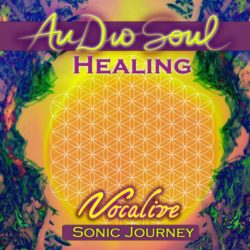 AudioSoul Healing - Vocalive